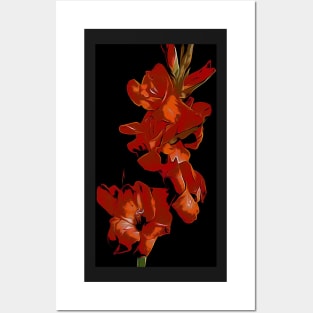 Red Gladioli Posters and Art